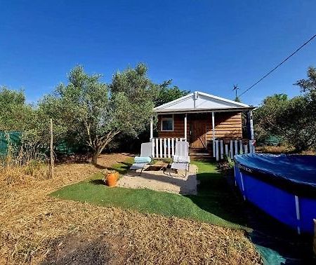 Un Chalet Dans Les Oliviers 3 Nuits Mini Nimes Exterior photo